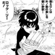 ロック・リーの画像