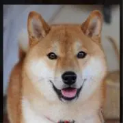 トラグレ