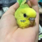ともみ♥プロフ必読