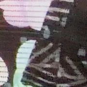 ねぎたんの画像