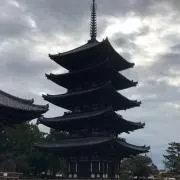 Dの画像