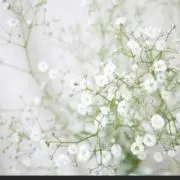 ユアタイムの画像