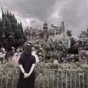 コケの画像