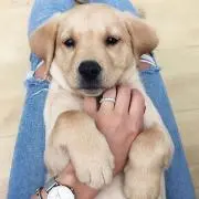 みー♡