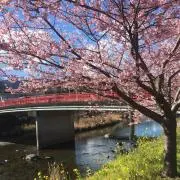 中島の嫁の画像