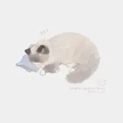 n．【8/1-30まで発送不可】の画像
