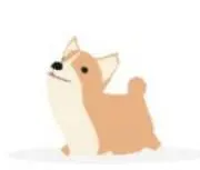 Kotoの画像