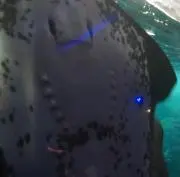 あさこの画像