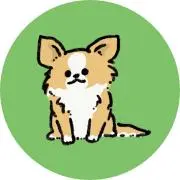 もちこの画像