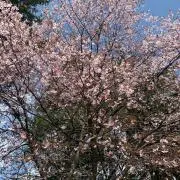 プロフ必読
