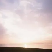 yuuu 即購入OK!の画像