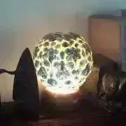 やぎの画像