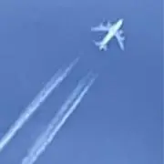 ゾンビの画像