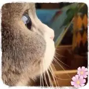 ま✨