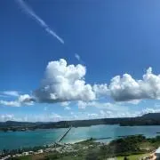 ぴっぴ