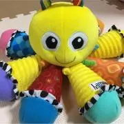サリー