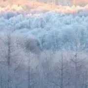 りえぽん