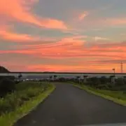 shotaの画像