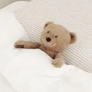 くまたんの画像