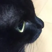 ゆうな