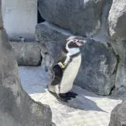 たかゆきの画像