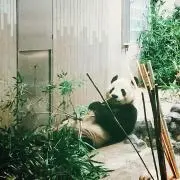 fffmmm1234の画像