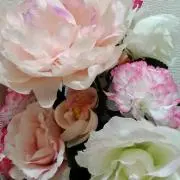 piku　プロフィール必読の画像