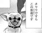 高松です。