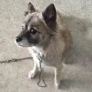yukiの画像