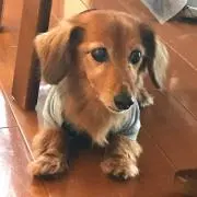 chiakiの画像