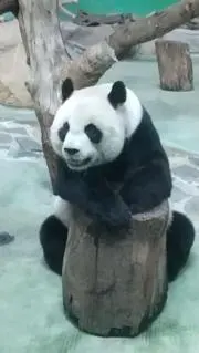 たくなすびの画像