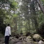 ozwの画像