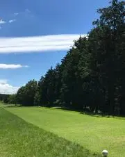 S.の画像