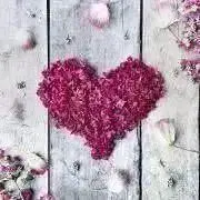 はつほ♡