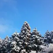 古賀志山