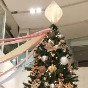 Crescent Moonの画像
