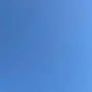 リュウタロス
