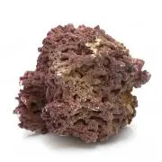 ferdydurke