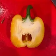 プロフ必読の画像