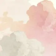 ぽるの画像