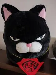 ねっこ村さんの画像