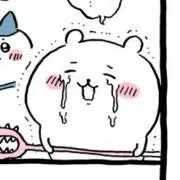 わとそん