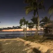 kum4nek0