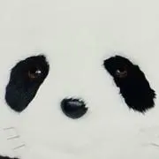 こんりんこの画像