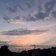 ちょこの画像