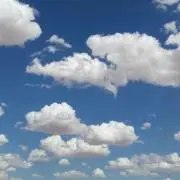 DVD さにこ会 vol.2 - メルカリ