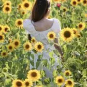 ティファニーの画像