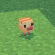 にょぴこの画像