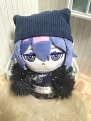 mnふじの画像
