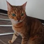 Rio